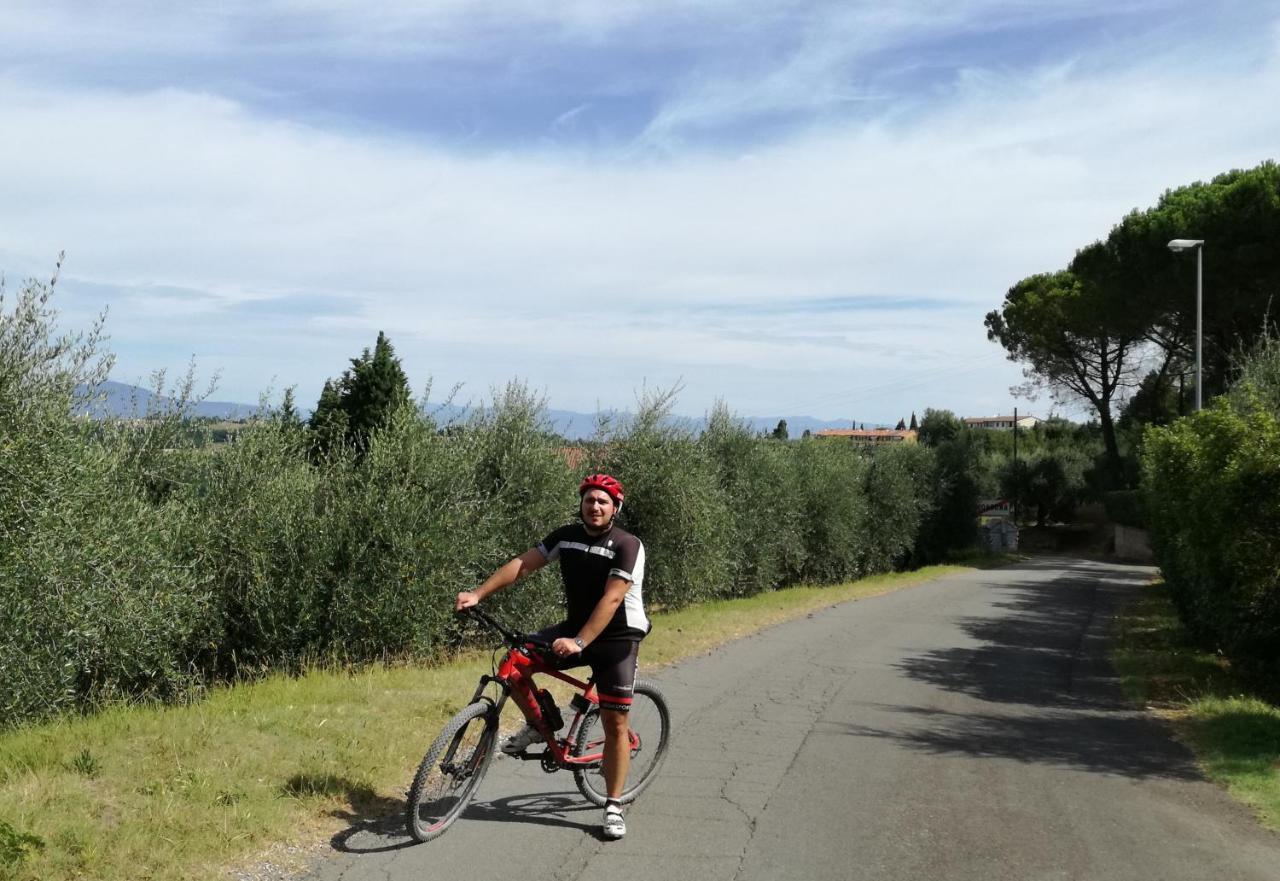 Tuscany Life Terricciola Exteriör bild