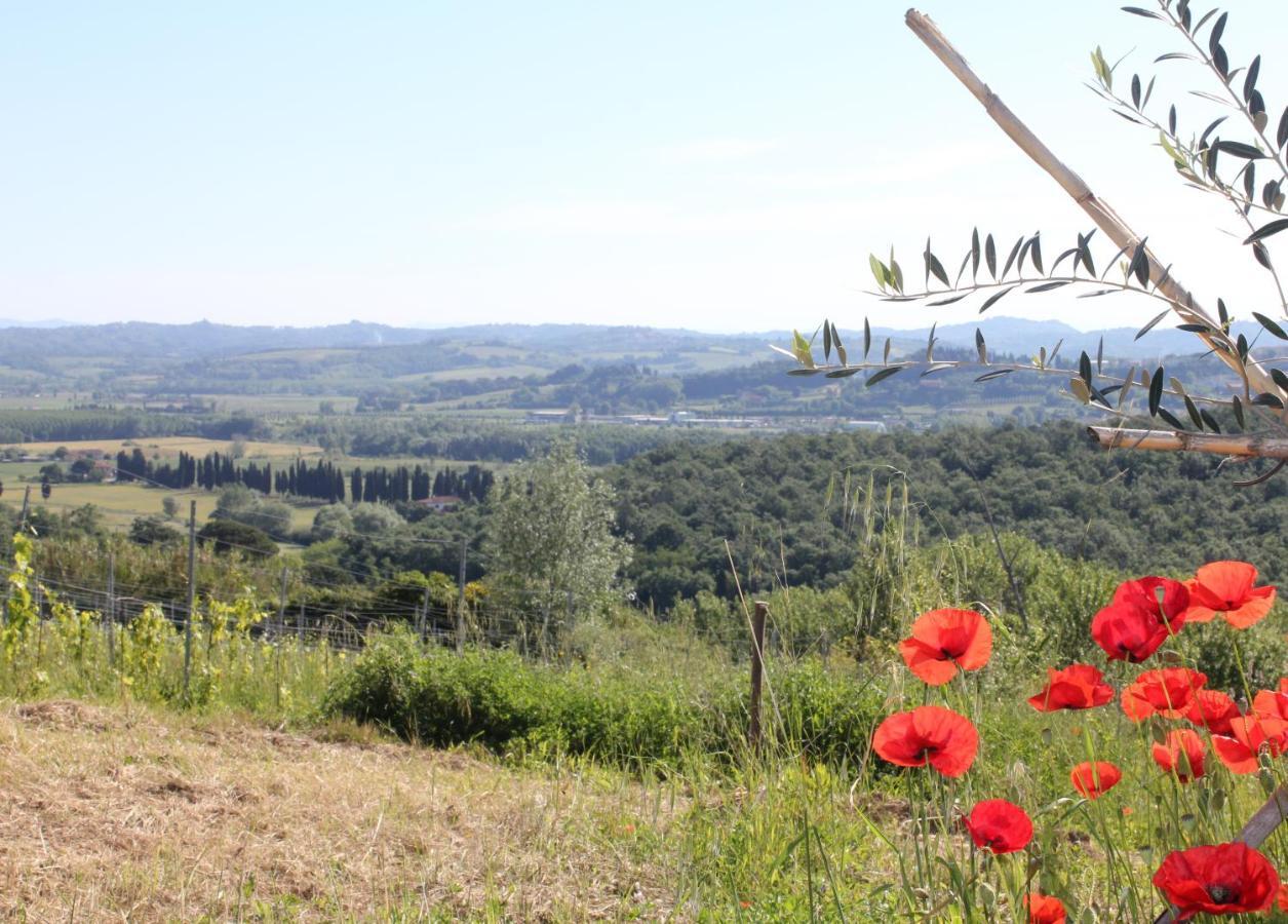 Tuscany Life Lägenhet Terricciola Exteriör bild