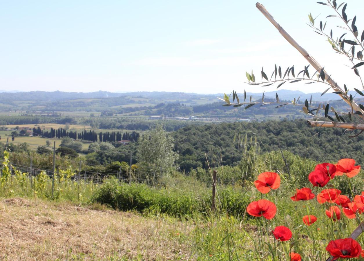 Tuscany Life Terricciola Exteriör bild
